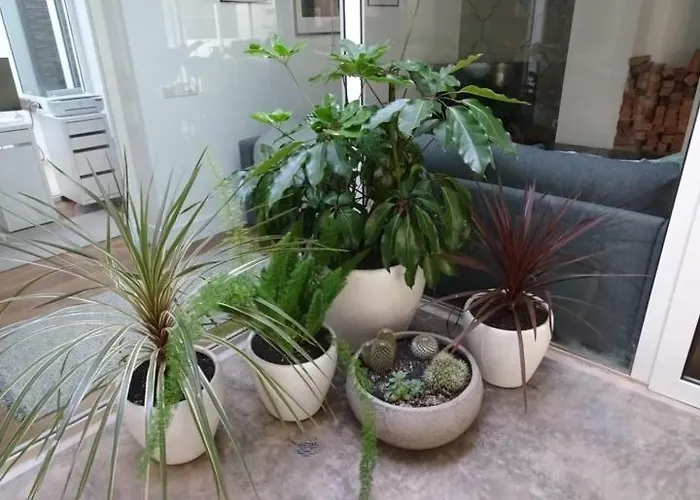 Pool House Hébergement de vacances *