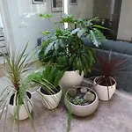 Pool House Vakantiehuis *